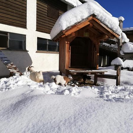 Zweimaederlhaus Lägenhet Bad Mitterndorf Exteriör bild