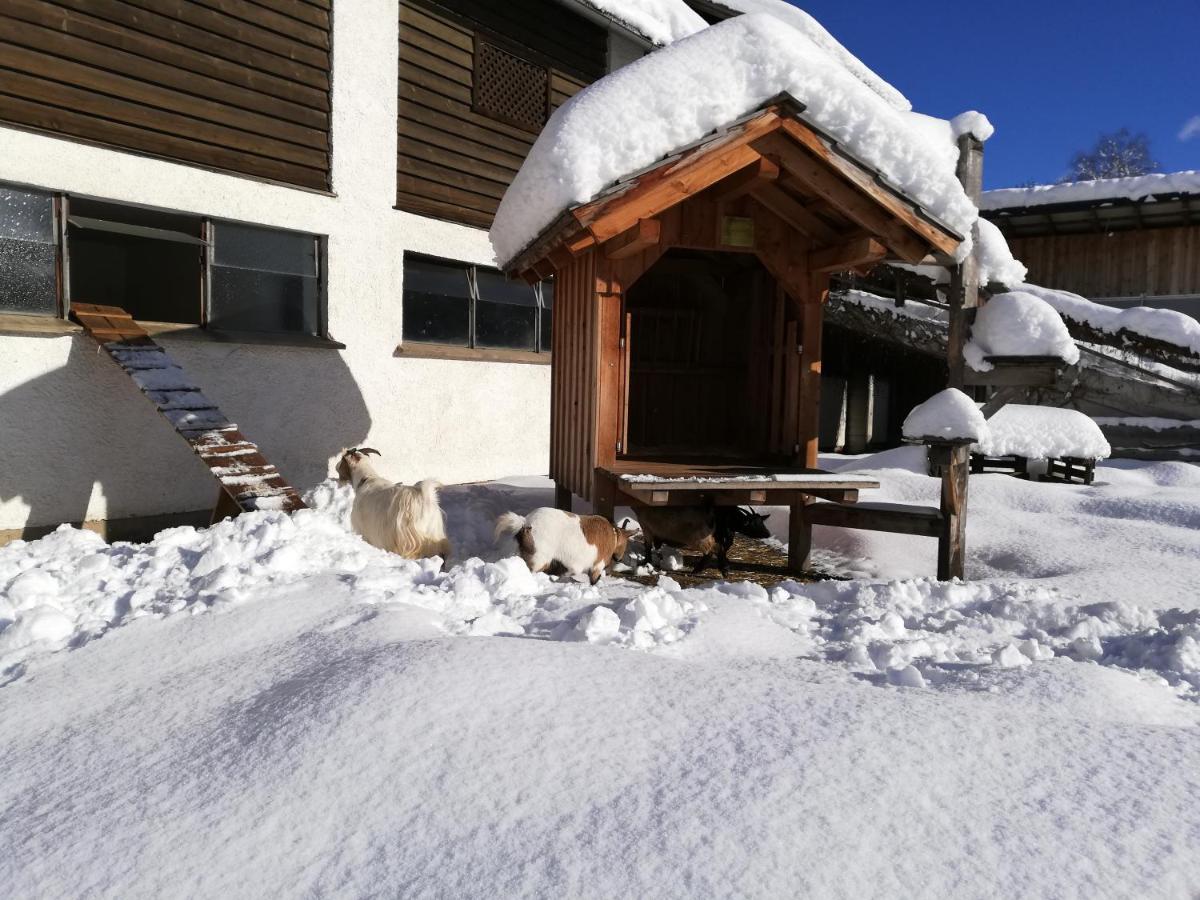 Zweimaederlhaus Lägenhet Bad Mitterndorf Exteriör bild